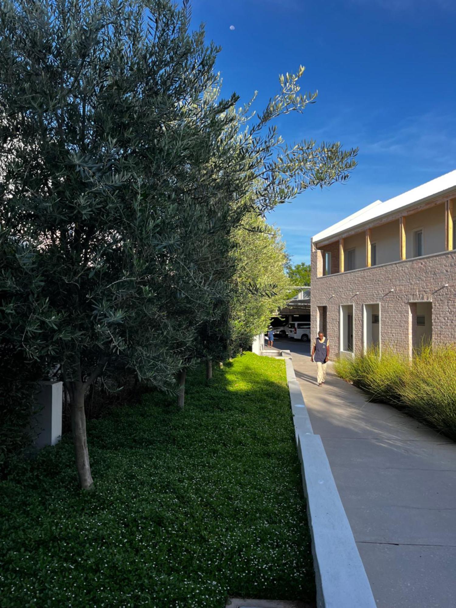 The Windhoek Luxury Suites 外观 照片