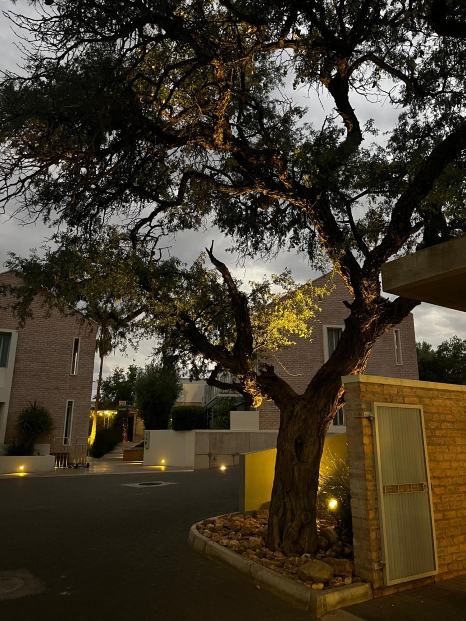 The Windhoek Luxury Suites 外观 照片
