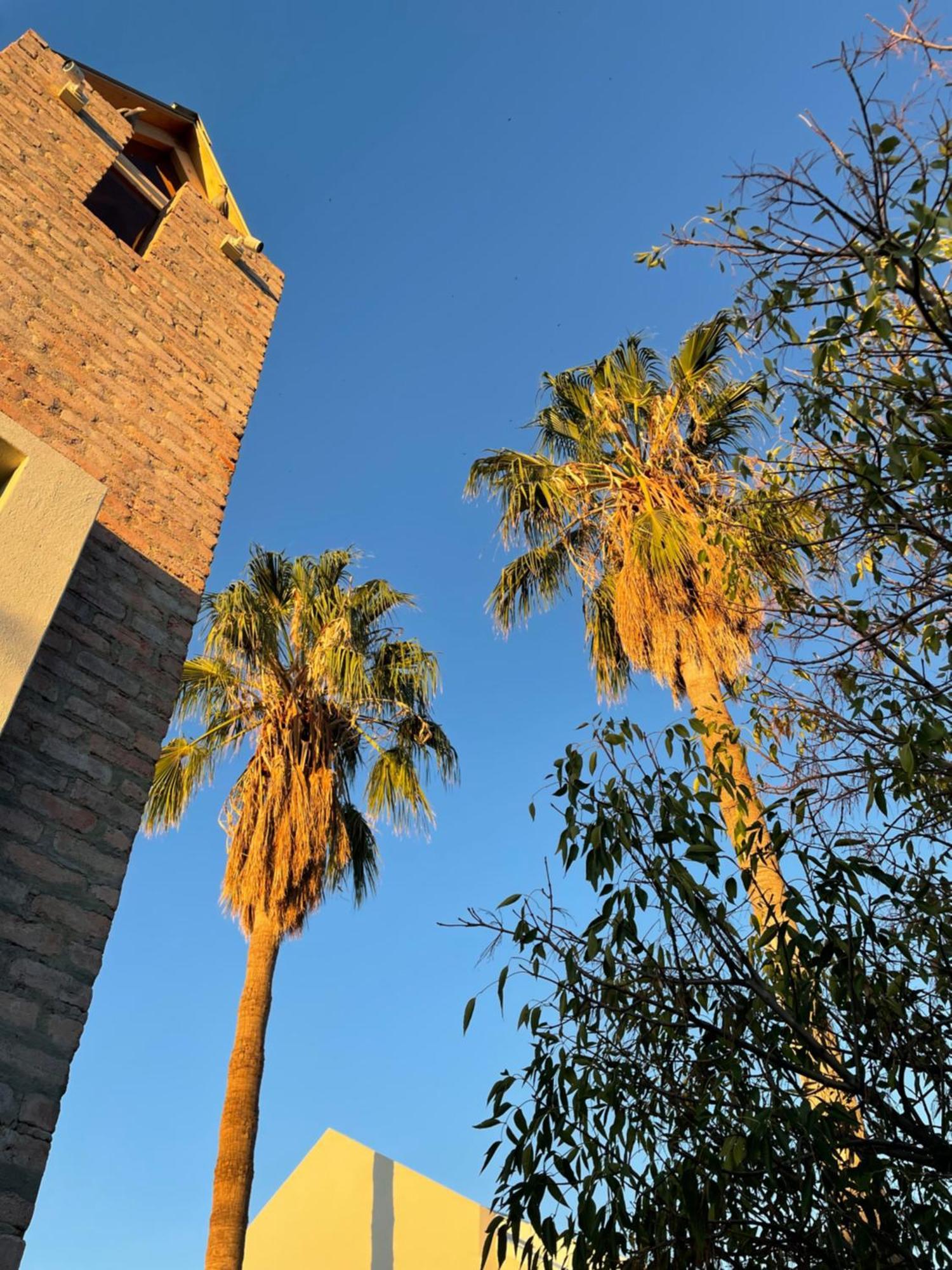 The Windhoek Luxury Suites 外观 照片